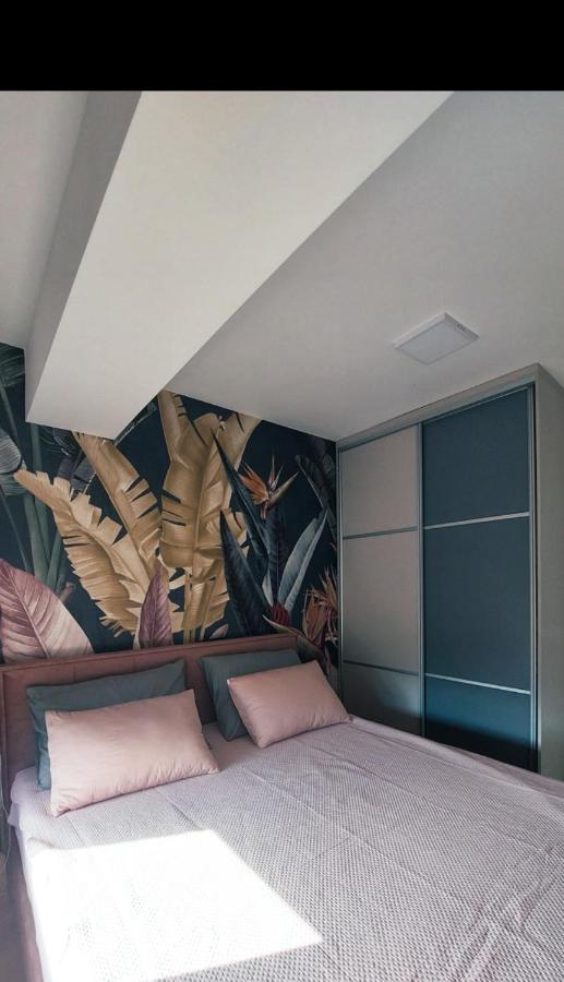 Rines Apartment オフリド エクステリア 写真